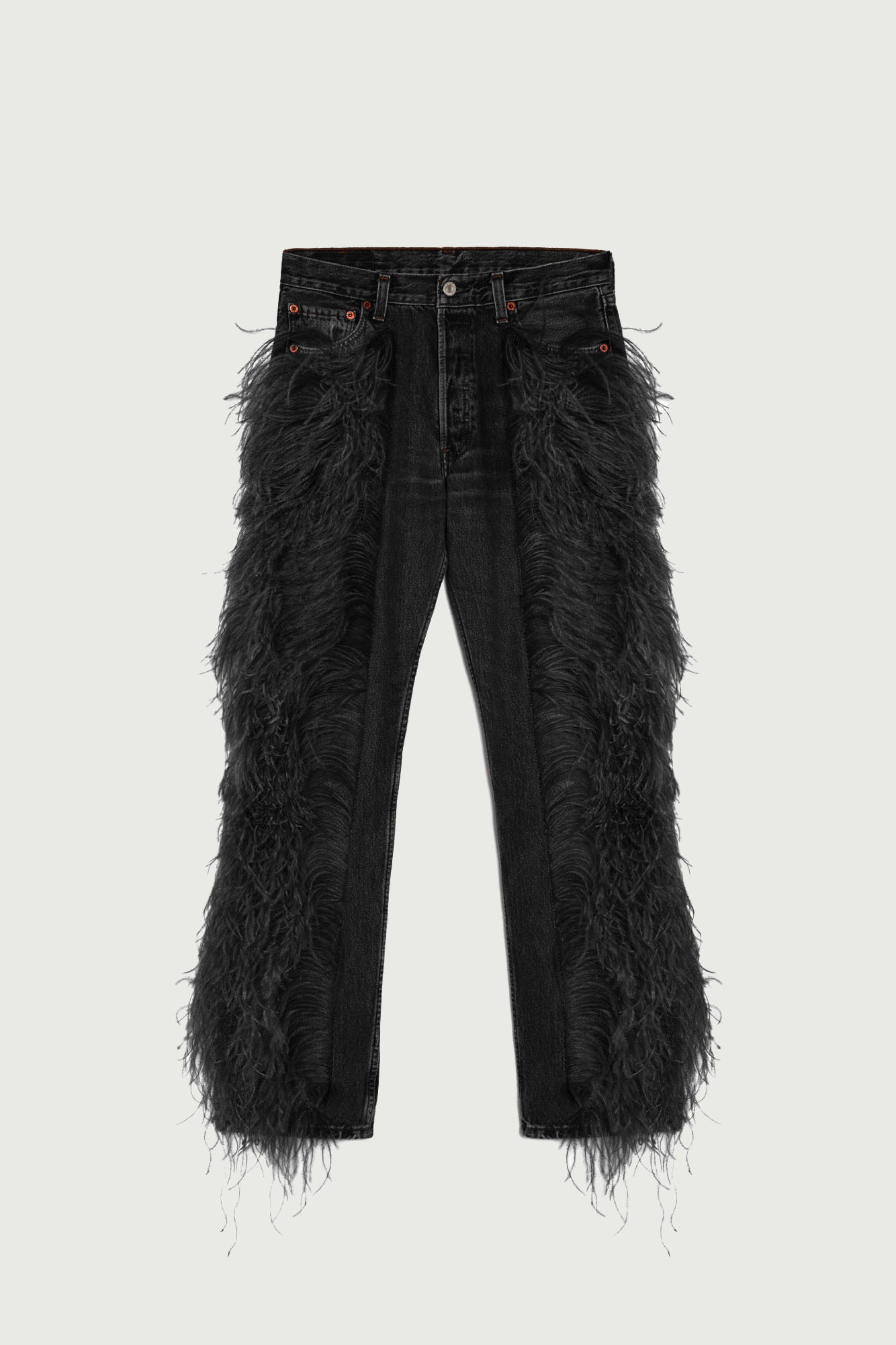 Jean Noir à Plumes